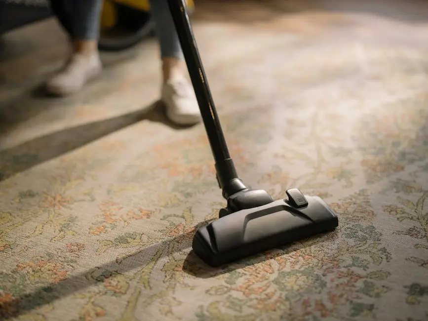 cleaning oriental rugs